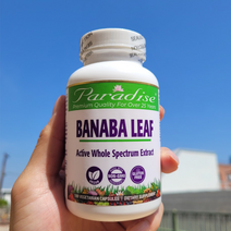 파라다이스 허브 Paradise Herbs Banaba Leaf 바나바 리프 잎 180캡슐, 1개