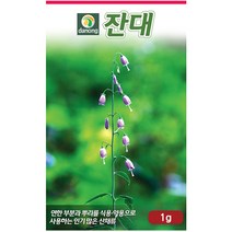곤드레 100립 - 씨 씨앗 곤드레씨앗 곤드레씨 나물씨 나물씨앗 민속채소 채소씨 채소씨앗 고려엉겅퀴, 27_다농_잔대(1g)