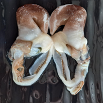 특품 남당항 손질 새조개 샤브샤브 세트(1kg 실중량 200-250g 내외), 쭈꾸미 500g, 1kg(200-250g 내외)