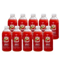 마이요기 생 수박 스무디 주스 즙 땡모반 태국 화채 에이드 음료 수 무설탕 100% 국내산 고창 씨없는 고당도 맛있는 꿀 과채 얼린 냉동 과일 NFC 착즙 쥬스 900ml 10병, 16.호박주스 900ml 10병