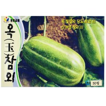 옥참외씨앗 50립, 단품