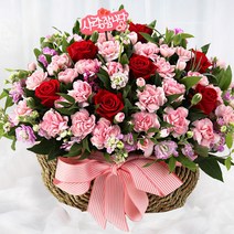 전국당일도착 카네이션 꽃바구니 생화 화분 꽃다발 선물 어버이날 스승의날 당일 꽃배달 서비스 (99플라워), 12.[A1652]-장미카네이션바구니