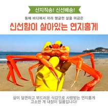 포항 대게 맛집 붉은 홍게 (영덕 울진 포항 연지 박달 3kg), 3.(일반형)홍게2kg(4~6마리)