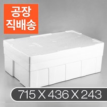 가배상점 택배상자 스티로폼 아이스박스 20k 1개 일반 식품