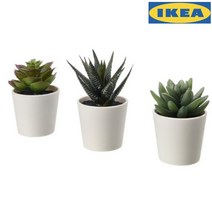 이케아 페이카 인조 다육 식물 화분 6CM 3개 조화식물