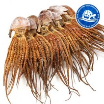 장수왕 피문어 (중대 40-45cm) 5마리 /말린 문어 제수용 약문어 건문어, (중대)40-45cm