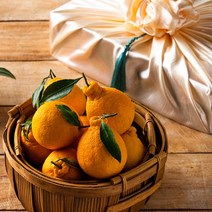 [바른팜] 고당도 제주 한라봉 선물세트 가정용, 1box, 한라봉 3kg 일반박스