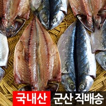 장스토어 국산 반건조 고등어 10마리 2.6kg 고갈비 군산직송, 1세트, 고갈비 10미 2.6kg 내외