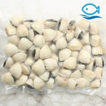 바다해 냉동 백합조개 1KG 해감 백합 탕 파스타 봉골레, 백합1KG