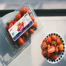 GAP 인증 받은 신선한 최상급 토망고 스테비아 방울토마토 500g 토마토 1kg 매일 아침 산지직송 샤인 과일 대저 대추 토마토 완숙, 큰 토망고 1kg X 3팩