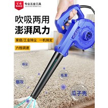 무선 송풍기 220v 강력한 고출력 소형 가정용 휴대용 집진기 산업용 헤어 드라이어 그을음, [09] 리튬 배터리 송풍기: 4.5Ah-듀얼 배터리