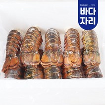 랍스터 테일 10미 1200g, 1개