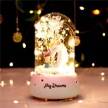 창의 이시공 우주인 우주인 오르골 영생화 말린 꽃 유리 덮개 별등 장식품, 딱정벌레