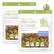 라이브잇 굿데이 맛있는 유산균껌 강아지 간식, 20개, 300g, 블루베리혼합