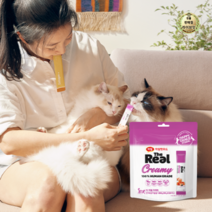 라이브잇 하림더리얼 고양이 크리미 파우치 10g x 25p, 10개, 250g, 연어 + 닭고기 혼합맛