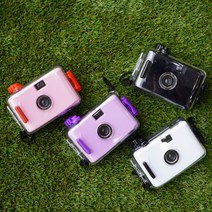 베이브필름카메라 싸게파는 상점에서 인기 상품의 판매량과 리뷰 분석