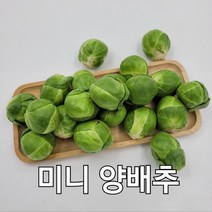 제주 방울양배추 미니양배추 1kg 야채맘