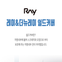 이투피 레이&더뉴레이 전용 스크레치방지 쉴드커버, 글로브박스, 기아