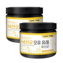 모유유래유산균 락토바실러스 가세리 루테리 불가리쿠스 프로바이오틱스 비피더스 혼합유산균 대용량 유산균 분말, 220g, 2통