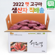 생산자직배송/ 22년 무농약 해들녘 세척 고창황토고구마 3 /5 /10kg x (왕/ 특상/ 중/ 한입) 사이즈, 해들녘고구마 5kg (중) 세척x 1박스