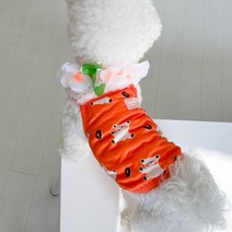 유앤펫 강아지 여름옷 쥬쥬 썸머 쿨나시, 오렌지