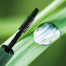 속눈썹 눈썹 펌 연장 영양제 에센스 연장제 증모제 발모제 10ml