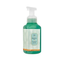 배스앤바디웍스 포밍핸드솝 Beautiful Day S/S, 259ml, 259ml, 1개