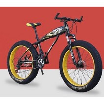 펫바이크 4.0 광폭타이어 자전거 MTB 입문용 팻바이크, 화이트, 24인치