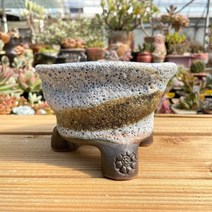 락분 : 거품 원형분 중 10가지 색상 / 다육이화분 다육식물 수제화분 고급화분 예운분 휴식분, 8.무늬하늘색