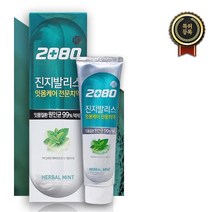 x2 잇몸질환 세균잡는 구강전문 민트치약3p 질환예방 건강한치아 세균억제 추천