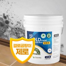 이지골드 친환경 규조토 페인트 18리터 결로 곰팡이, 1. 화이트, 1개, 18l