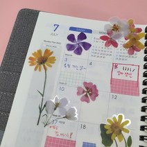 이미지 꽃스티커 옐로우 노트북 다꾸 폰꾸 스티커 압화, 상세페이지 참조