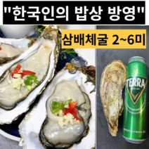 삼배체굴 삼베체굴 하프쉘 개체굴 TV방영, 삼배체개체굴1kg 2~6미