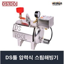 DS툴 압력식 스팀해빙기, 1개