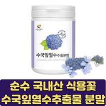 수국잎 열수 추출물 식용 꽃 카페인없는 차 먹을수있는 식용수국 산수국 물대용 클린주스 HYDRANGEA 약용식물 산수국잎 하이드란제놀 물에타먹는 가루 먹는꽃 식단조절 수국 물대신, 100gX2개(5%할인), 2개