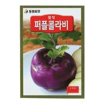 모칸도 동원 퍼플콜라비 500립