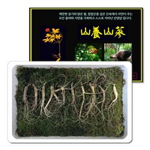 삼바이 산양산삼 7년근 선물세트 산삼 산양삼 장뇌삼 인삼 면역력 기력보강 설날 추석 설선물 설명절 추석선물 추석명절 명절선물, 7년근 10주