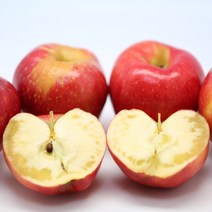 청송 못난이 햇 홍로 사과 1.5kg-10kg, 1개, 3kg