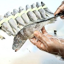 영광굴비 장줄 1.8K이상 20미 가정용 손질상품 진공포장 다시팩증정 가락시장 도매 힘바다 가락금호상회