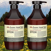 바이오디톡 손상머리 클리닉 헤어팩 대용량 단백질 트리트먼트, 2개, 1000ml
