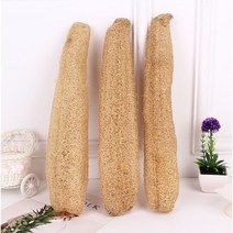 35-55cm 바게트 친환경 통 천연수세미 대형 바게뜨 바케트 식기세척 주방 식물 다용도 템마켓 더커진 루파 열매 다용도, 45cm 길이