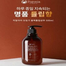 셀럽 청소년 지성 향수 약산성 샴푸 500ml