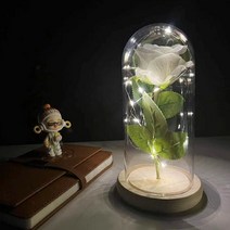 프리저브드플라워 프리저보드플라워박스 디퓨저 돔 미니 재료 2022 led 마법에 걸린, 018