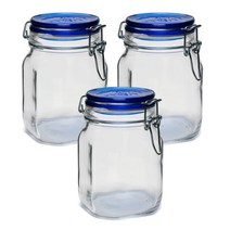 보르미올리 피도 밀폐용기 블루 투명, 1000ml, 1개