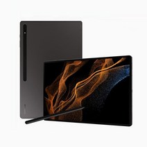 삼성전자 갤럭시탭 S8 Ultra SM-X900, Wi-Fi, 128GB, 그라파이트