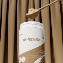 플라이밀 단백질 쉐이크 대용량 630g, 브라운(630g/14회분), 5통
