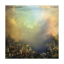 조안나 뉴솜 Joanna newsom Divers LP 음반 바이닐 레코드 앨범