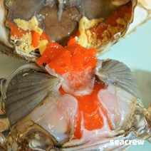씨크루 연평도 제철 급냉 몽당 봄암꽃게(대)1kg(3미내외), 1개