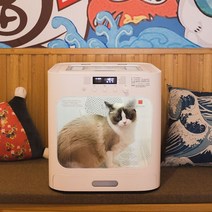 펫드라이룸 강아지 고양이 털말리기 드라이기 건조기, A