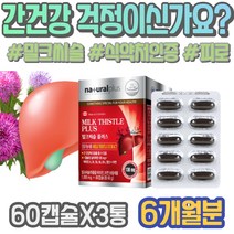 여성 ALT 간건강 약국 온가족 피곤할때 이마트 알코올 임산부 간보호 피로회복 질환 실리마린 패밀리 밀크시스 기운이없을때 간피로 추석선물 간기능보조제 담즙산 포우먼 음주 청소년